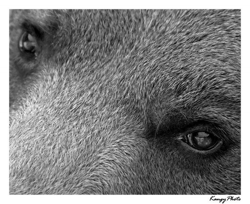 Clicca per l'immagine full size