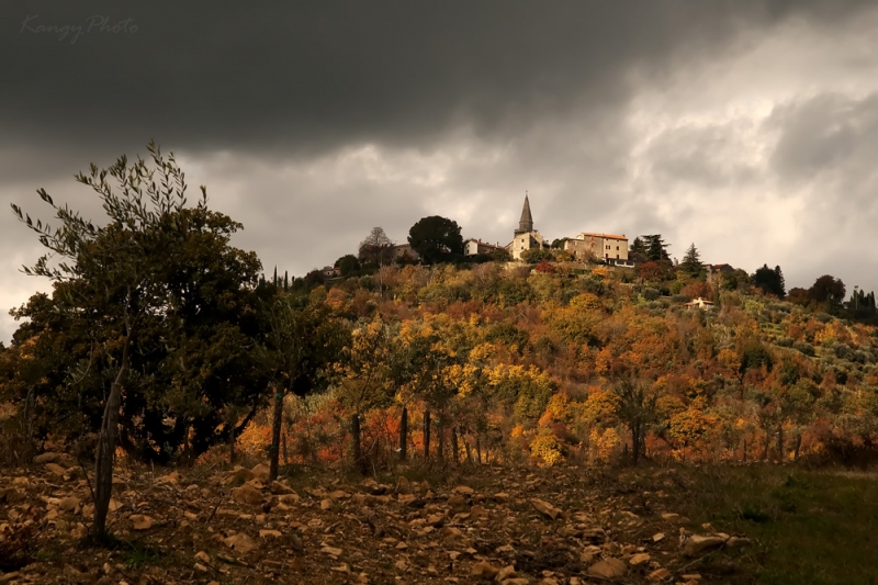 Clicca per l'immagine full size