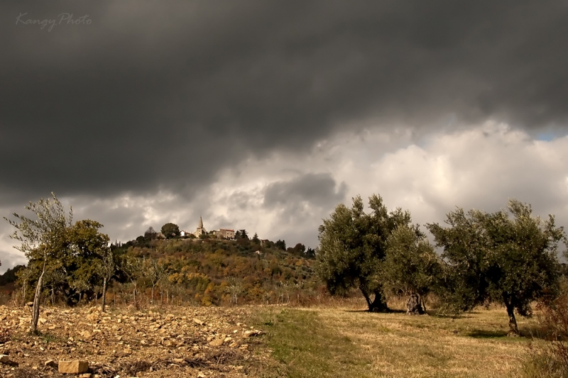 Clicca per l'immagine full size