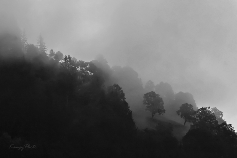 Clicca per l'immagine full size