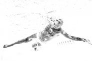 Nome File=0107Life_Long_swimming.jpg
Dimensione File=204KB
Dimensioni=1000x667
Data aggiunta=Ago 28, 2017 0107Life_Long_swimming.jpg