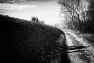 IMG_7768.jpg