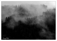 Nome File=nebbia.jpg
Dimensione File=296KB
Dimensioni=1000x735
Data aggiunta=Giu 01, 2010 nebbia.jpg