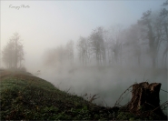 Nome File=nebbia_sulla_sava_2.jpg
Dimensione File=313KB
Dimensioni=1000x723
Data aggiunta=Ago 05, 2010 nebbia_sulla_sava_2.jpg