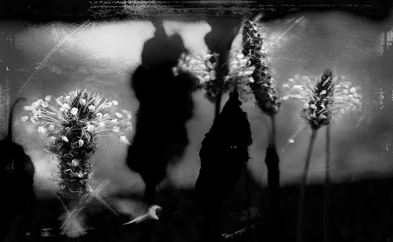 Clicca per l'immagine full size