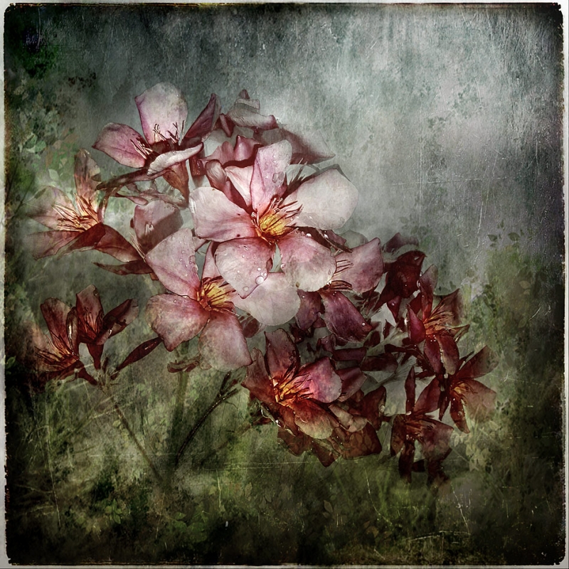 Clicca per l'immagine full size