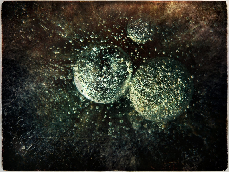 Clicca per l'immagine full size