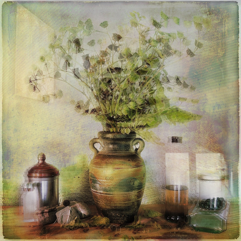 Clicca per l'immagine full size