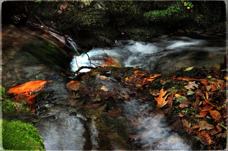 Clicca per l'immagine full size
