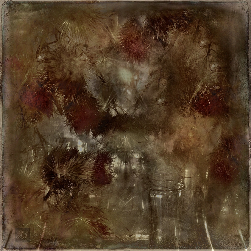 Clicca per l'immagine full size