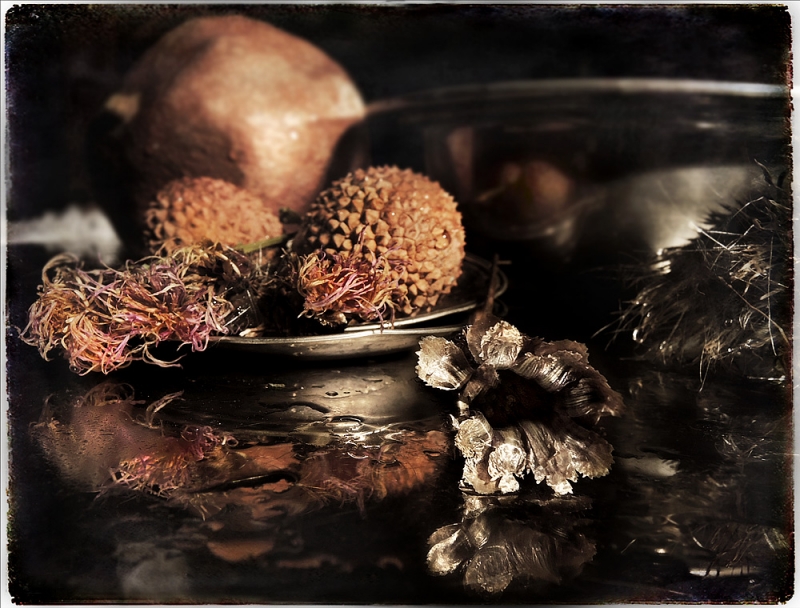 Clicca per l'immagine full size