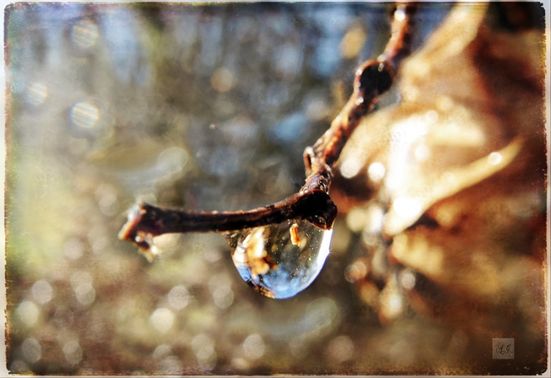 Clicca per l'immagine full size