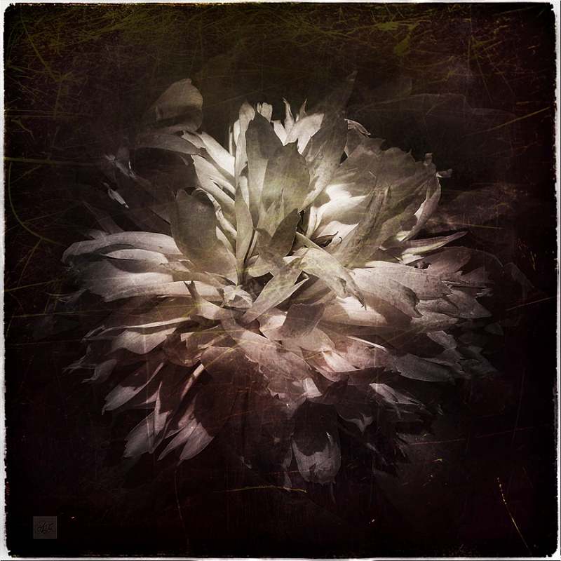 Clicca per l'immagine full size