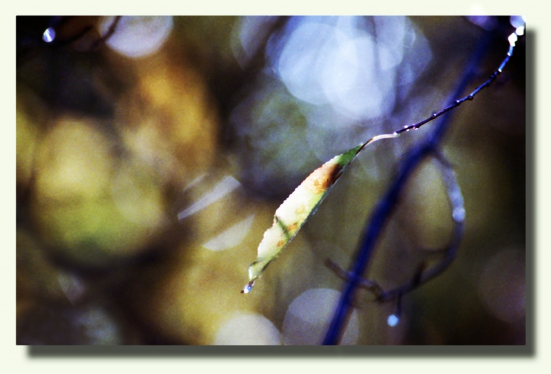 Clicca per l'immagine full size
