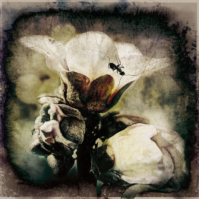 Clicca per l'immagine full size