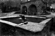 187.jpg 187.jpg
