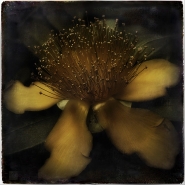 190~1.jpg 190~1.jpg