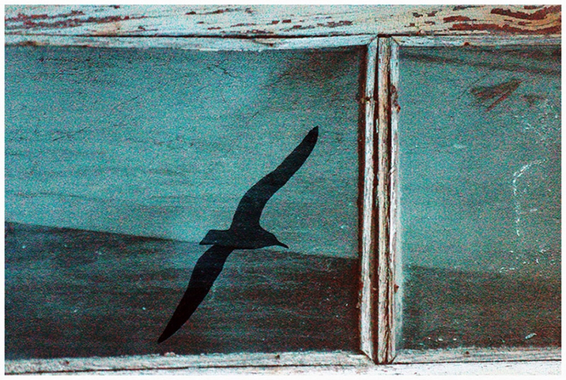 Clicca per l'immagine full size