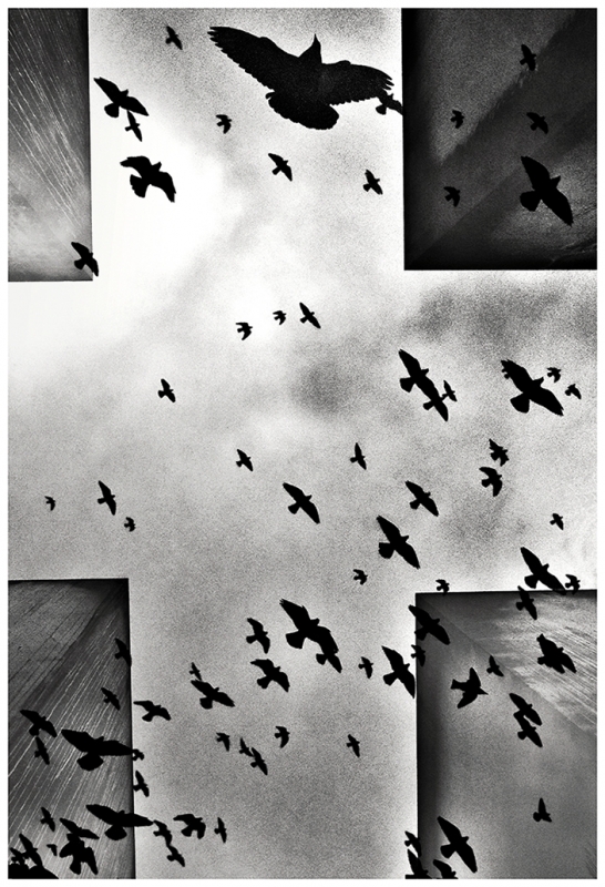 Clicca per l'immagine full size
