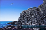 Nome File=image~164.jpg
Dimensione File=326KB
Dimensioni=1024x684
Data aggiunta=Mar 16, 2017 image~164.jpg