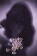 image~21.jpg