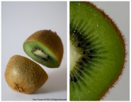 Nome File=KIWI.jpg
Dimensione File=360KB
Dimensioni=900x703
Data aggiunta=Lug 07, 2010 KIWI.jpg