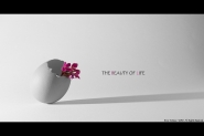 Nome File=The-beauty-of-life.jpg
Dimensione File=148KB
Dimensioni=900x602
Data aggiunta=Lug 10, 2010 The-beauty-of-life.jpg