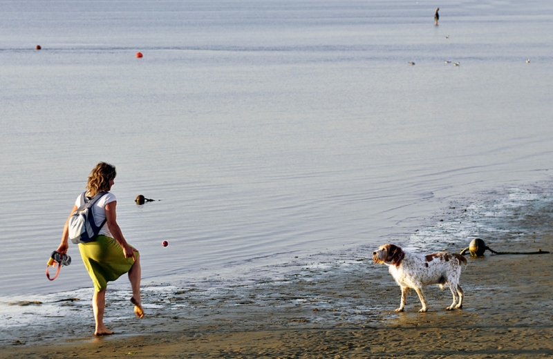 Clicca per l'immagine full size