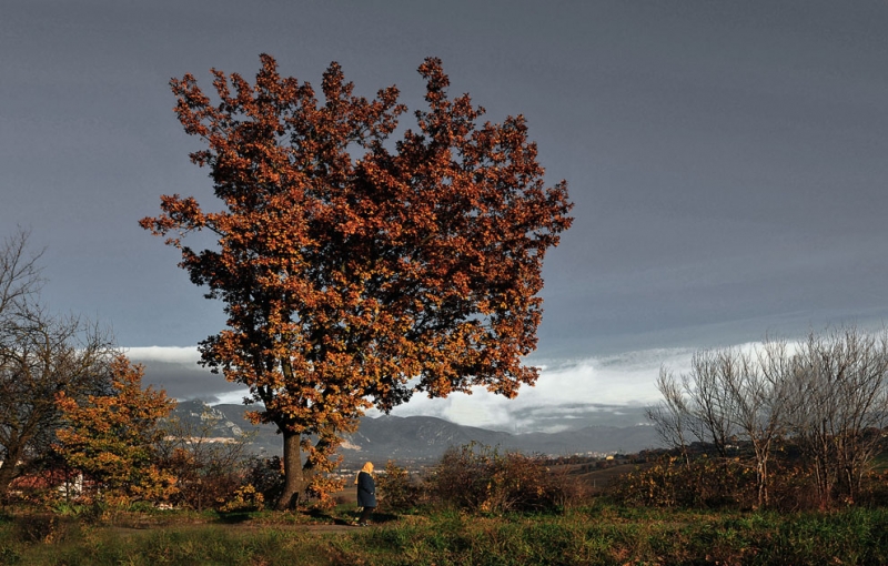 Clicca per l'immagine full size