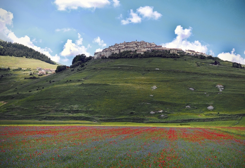 Clicca per l'immagine full size