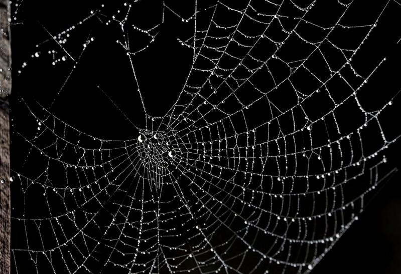 Clicca per l'immagine full size