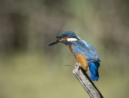 DSC_4284.jpg DSC_4284.jpg