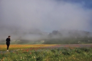 P7010054.JPG
