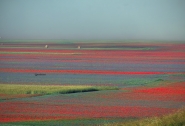 P7100123_gh.jpg