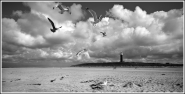 Nome File=spiaggia-con-faro.jpg
Dimensione File=158KB
Dimensioni=800x409
Data aggiunta=Ago 26, 2010 spiaggia-con-faro.jpg