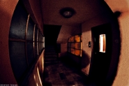 Nome File=Elevator.jpg
Dimensione File=356KB
Dimensioni=900x600
Data aggiunta=Feb 23, 2011 Elevator.jpg