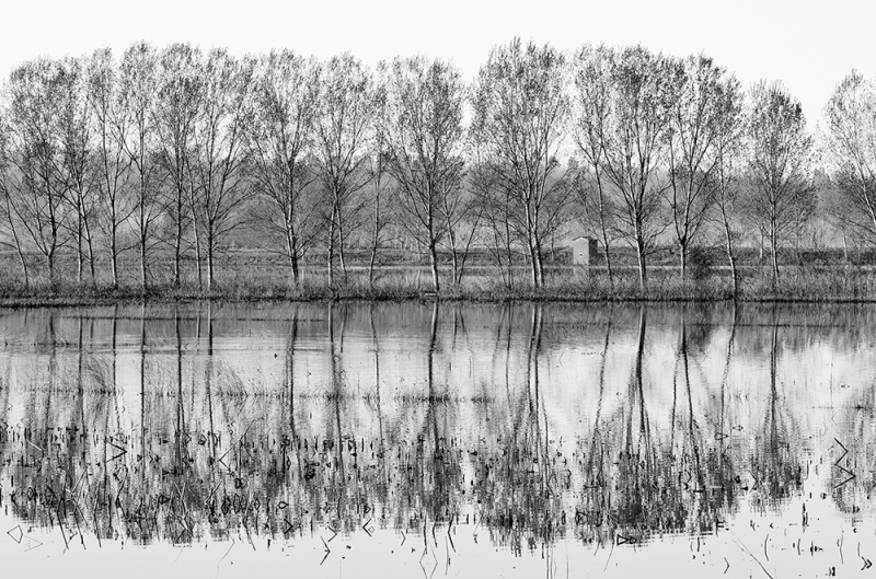 Clicca per l'immagine full size