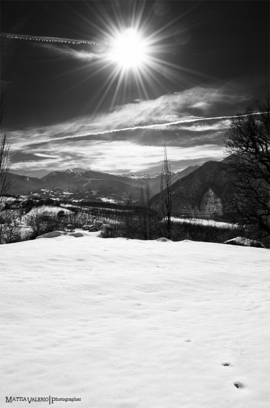 Clicca per l'immagine full size