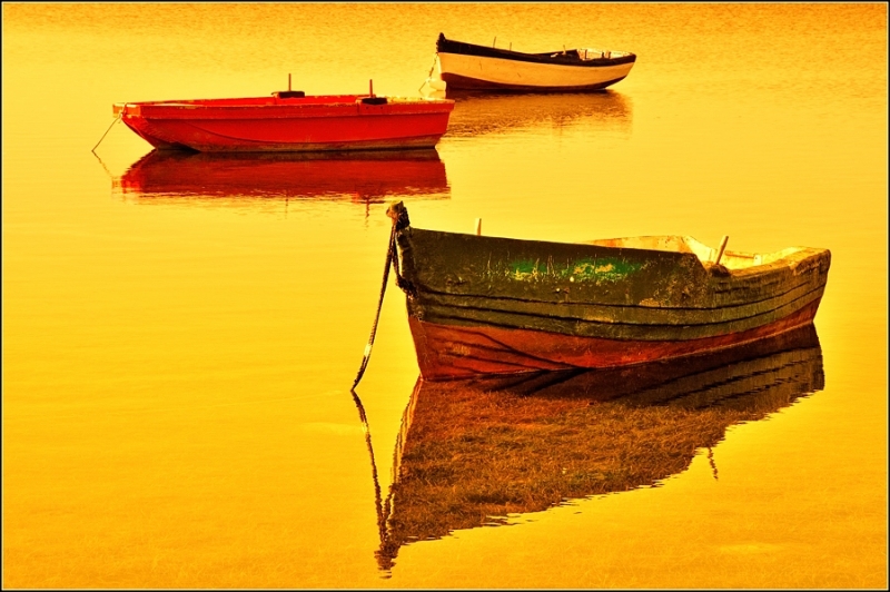 Clicca per l'immagine full size