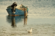 riva_di_laguna.jpg