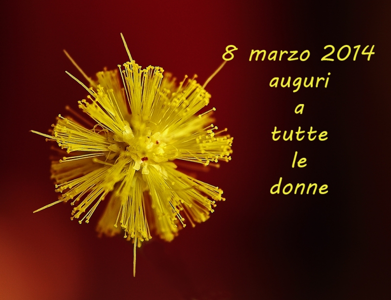 Clicca per l'immagine full size