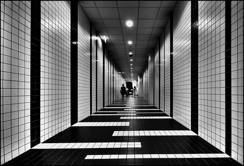 Clicca per l'immagine full size
