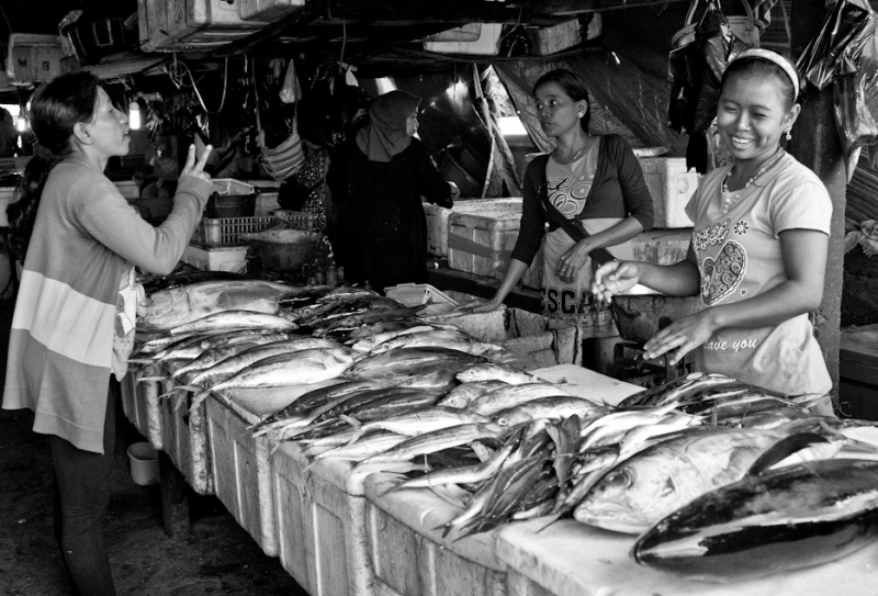 Clicca per l'immagine full size