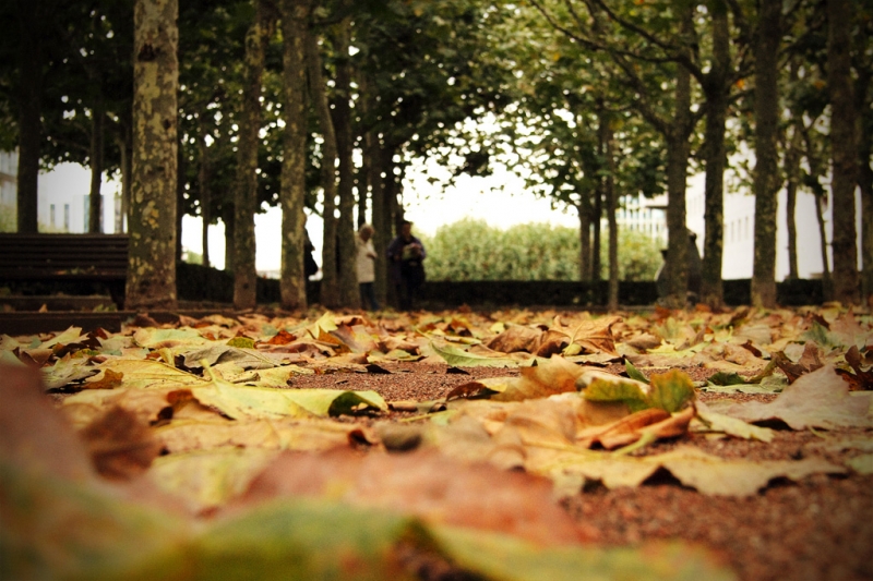 Clicca per l'immagine full size