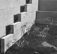 _C190308_1_crop_small_web.jpg