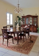 interno-con-cane_web.jpg