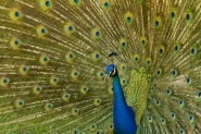 IMG_7180.jpg