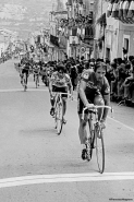 Filename=arrivo.jpg
Filesize=383KB
Dimensions=683x1024
Date added=May 07, 2011 arrivo.jpg