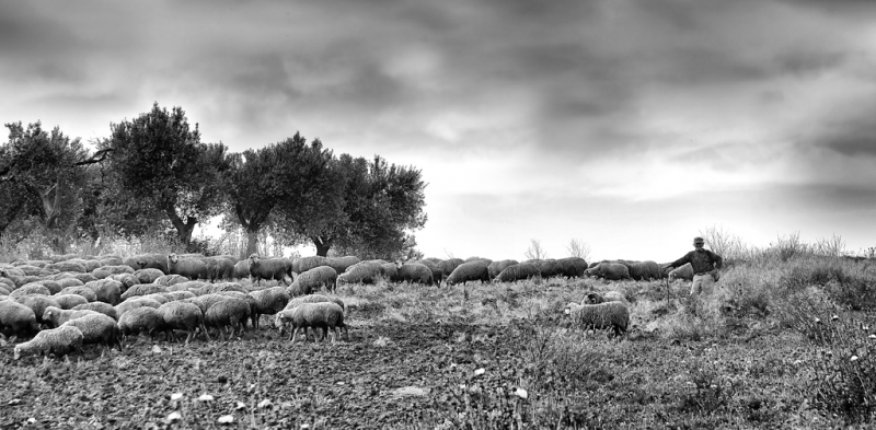 Clicca per l'immagine full size