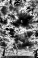 Nome File=Il_cielo,_l_aria,_il_sole_e_l_acqua_è_di_tutti_.jpg
Dimensione File=274KB
Dimensioni=533x800
Data aggiunta=Giu 14, 2011 Il_cielo,_l_aria,_il_sole_e_l_acqua_è_di_tutti_.jpg